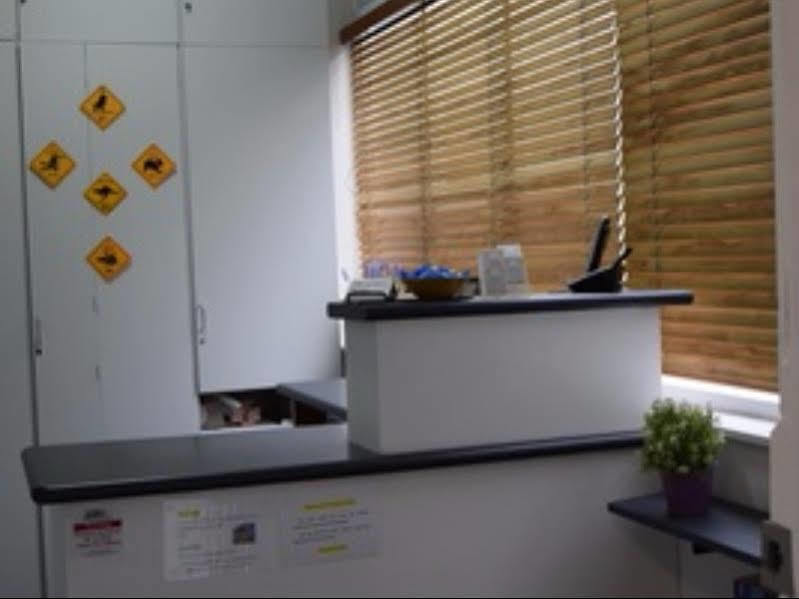 Podbed Coogee Beachside سيدني المظهر الخارجي الصورة